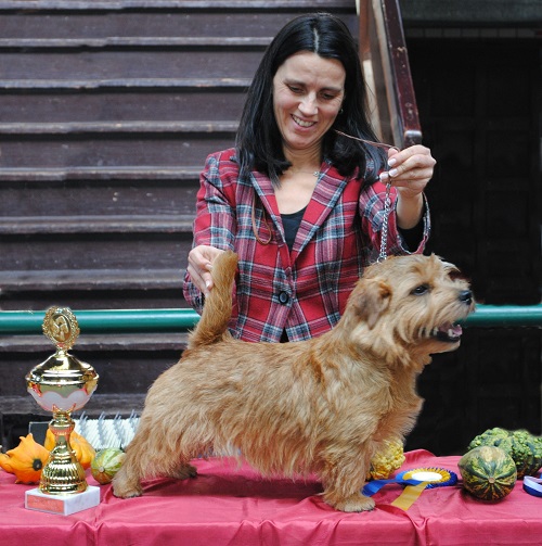 Weilheim BOB 2013